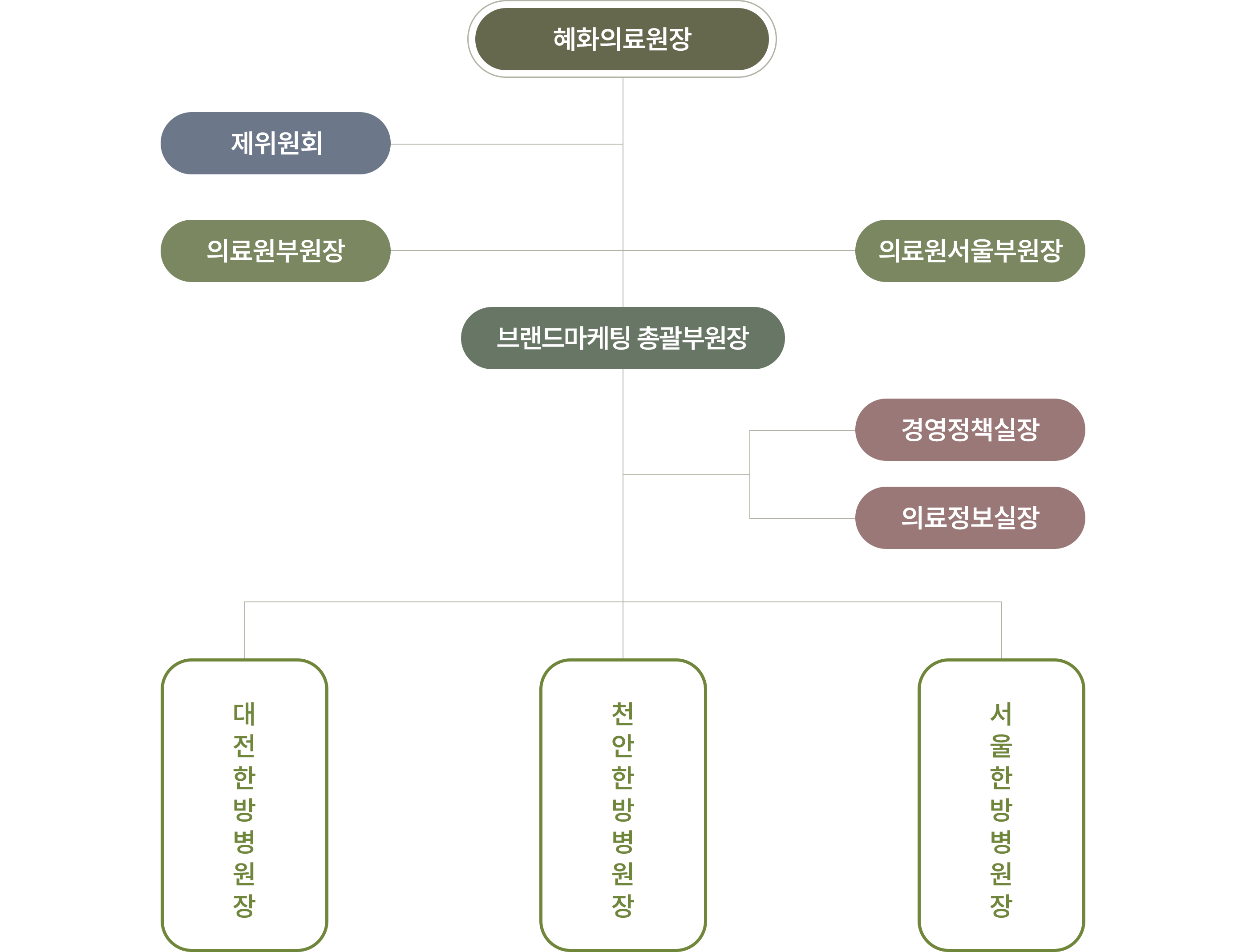 대전대학교 혜화의료원 조직도